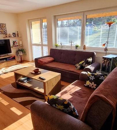 Mountain Village Apartment Pinewood *** Vyšné Ružbachy 外观 照片