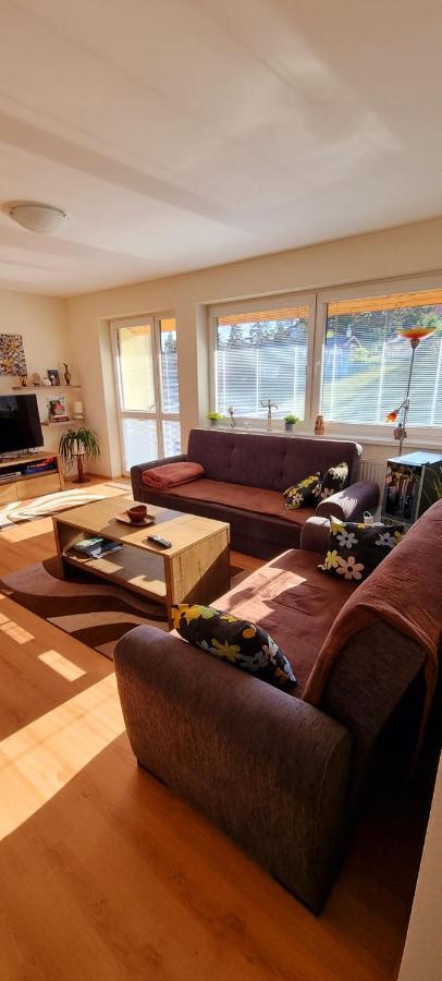 Mountain Village Apartment Pinewood *** Vyšné Ružbachy 外观 照片