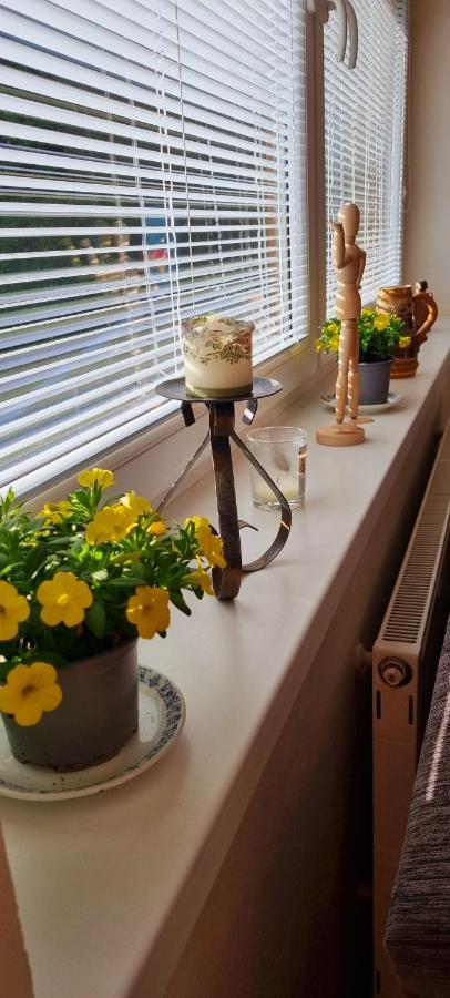 Mountain Village Apartment Pinewood *** Vyšné Ružbachy 外观 照片